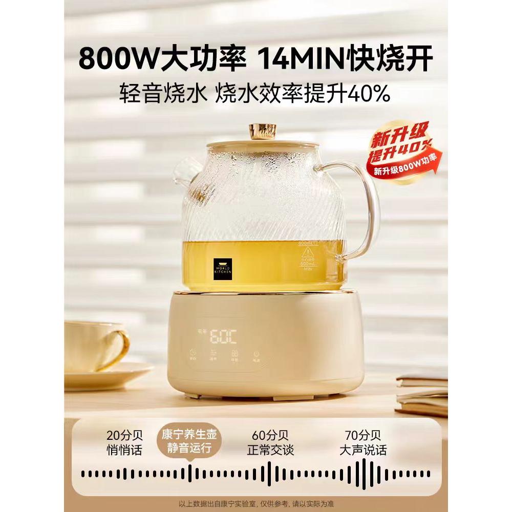 全玻璃大鲜炖养生壶炖煮一体家用多功能壶
